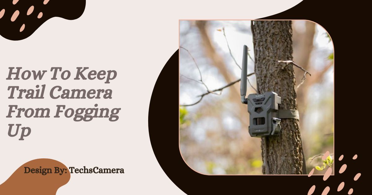 How To Keep Trail Camera From Fogging Up – The Ultimate Guide!