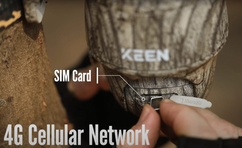 How Does a Cellular Trail Camera Work: