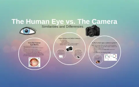 Human Vision vs. Camera Sensors: