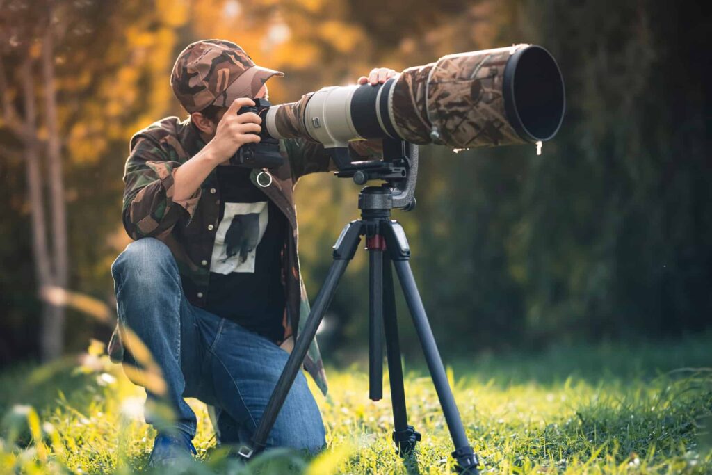 Telephoto Lenses for Nature Photography: