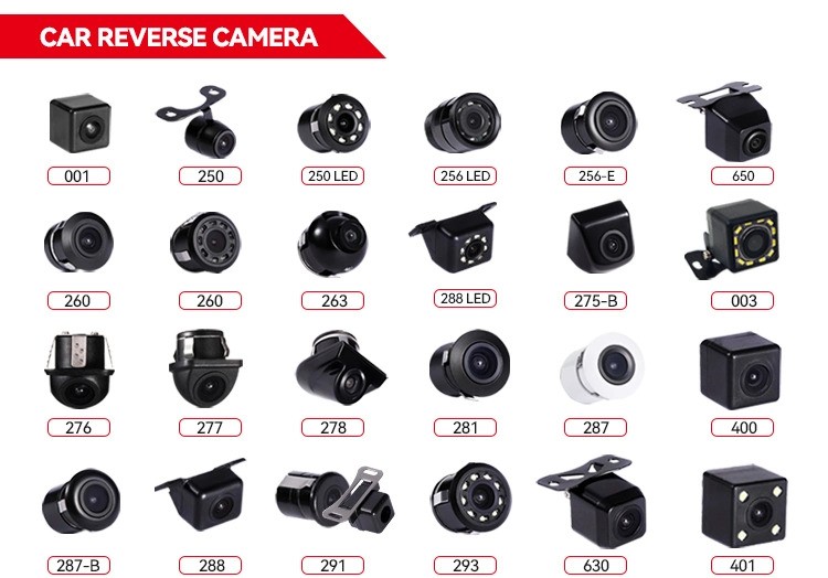 Types of Cameras in Rental Cars: